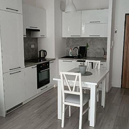 Apartment Z Ogrodkiem Na Warszawskiej Woli Varsovie Extérieur photo
