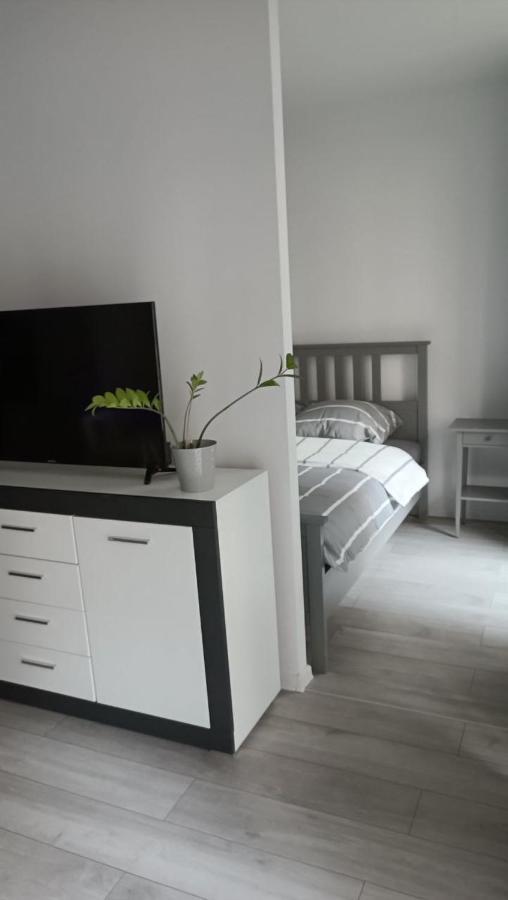 Apartment Z Ogrodkiem Na Warszawskiej Woli Varsovie Extérieur photo